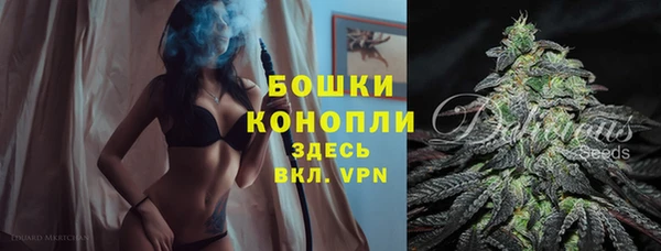 гидра Козловка