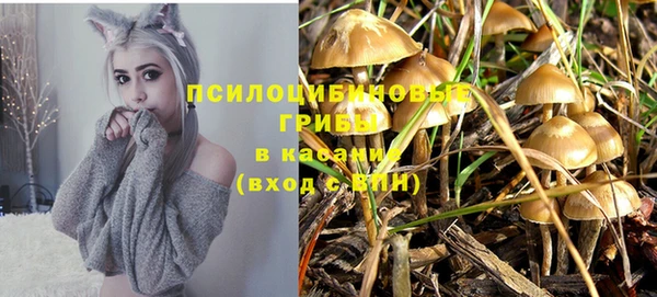 дурь Козельск