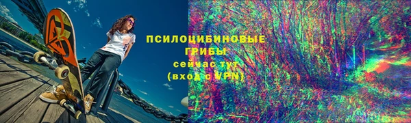 гидра Козловка