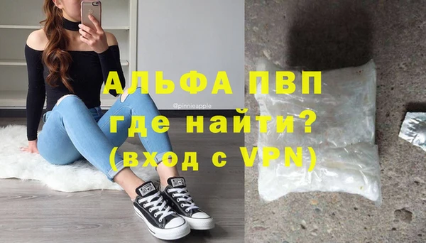 гидра Козловка