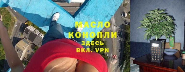 гидра Козловка