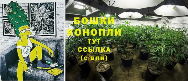 дурь Козельск